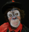 Picture of sigmonkey Picture of sigmonkey