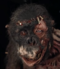 Picture of sigmonkey Picture of sigmonkey